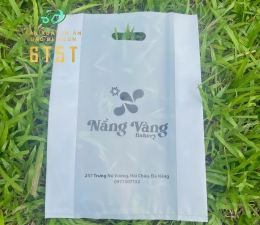 TÚI HD HỘT XOÀI SANG TRỌNG