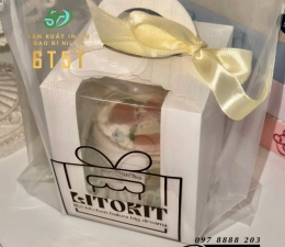 TÚI PE HỘT XOÀI TRONG SUỐT