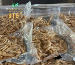 TÚI PA HÚT CHÂN KHÔNG CHẢ CÁ