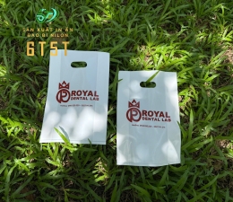 HỘT XOÀI MÀU TRẮNG SỮA