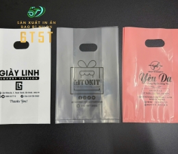 TÚI MINI SIZE HỘT XOÀI 