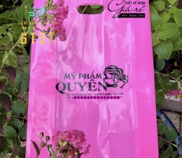 TÚI HỘT XOÀI MÀU