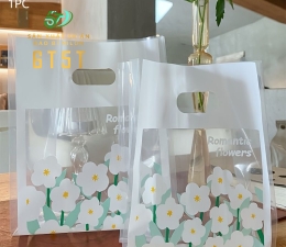 TÚI PE THIẾT KẾ RIÊNG