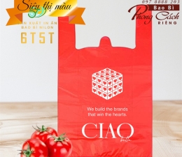 TÚI SIÊU THỊ NHỰA MÀU 