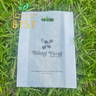 TÚI HD HỘT XOÀI SANG TRỌNG